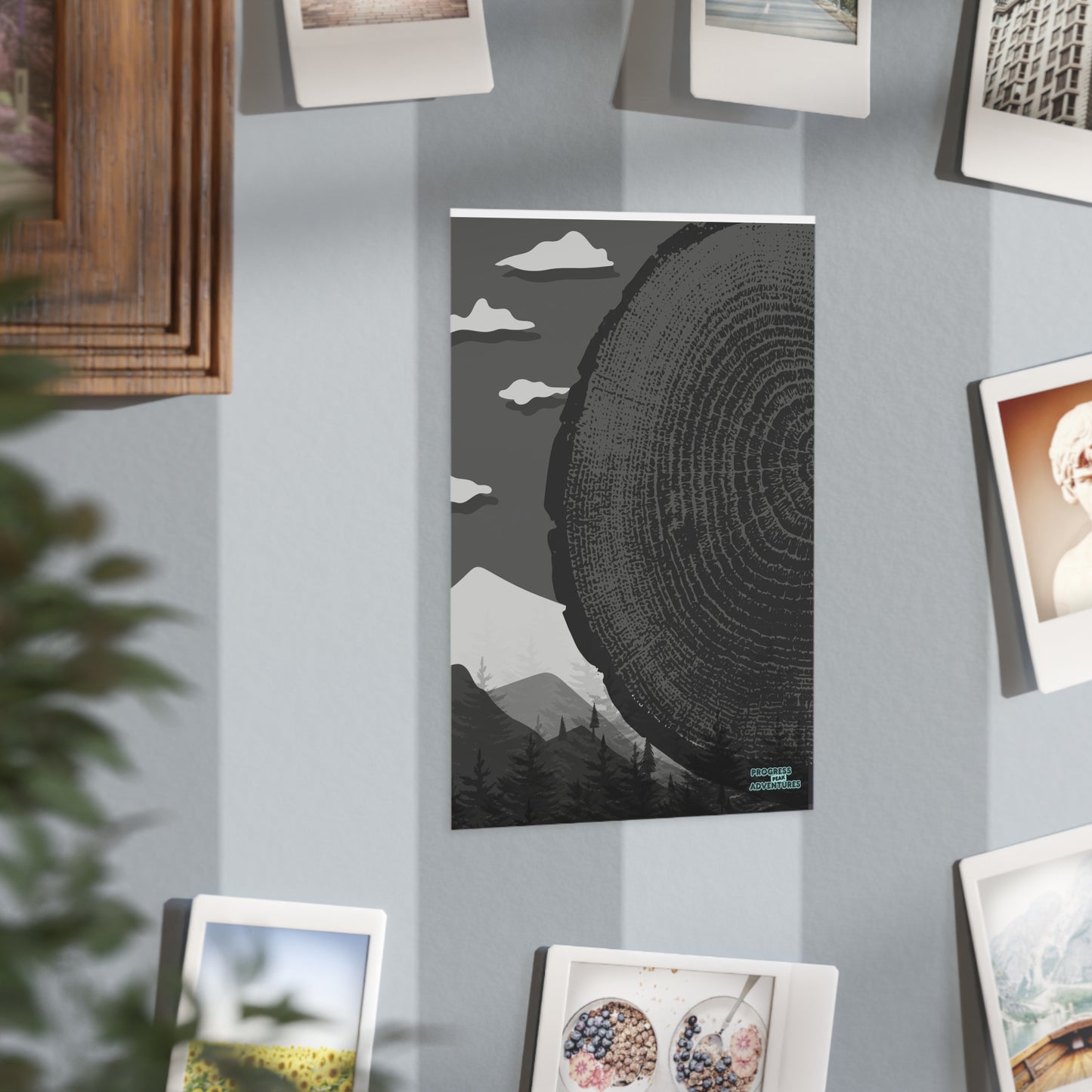 Tree Rings | Art Print