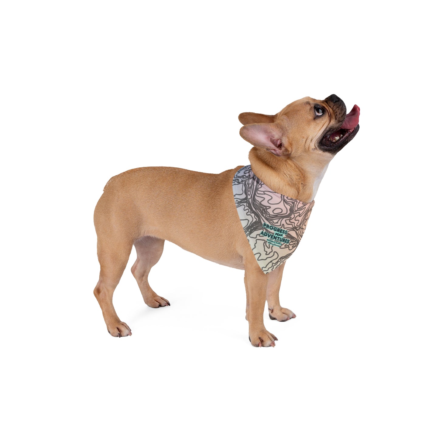 Progress Peak Pet Bandana