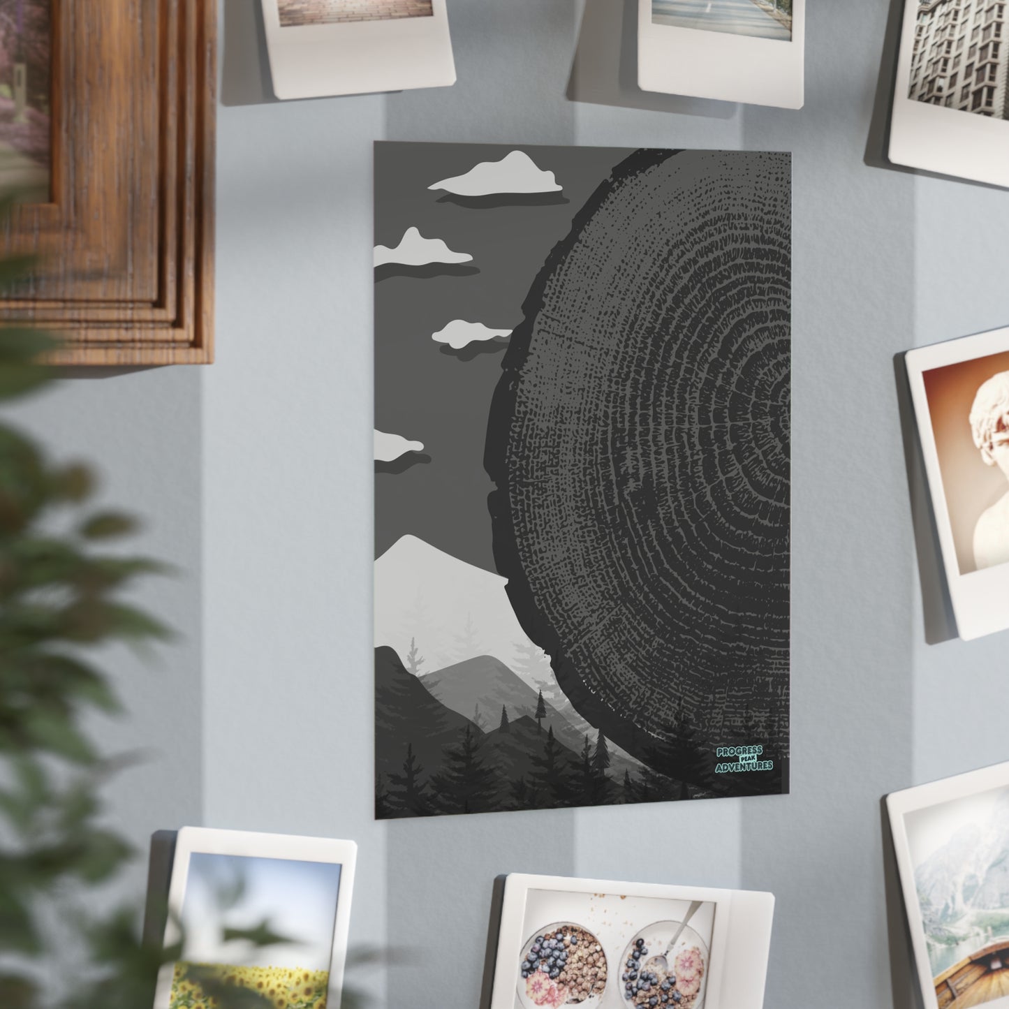 Tree Rings | Art Print